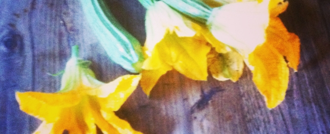 Fried courgette flowers from Olive's kitchen