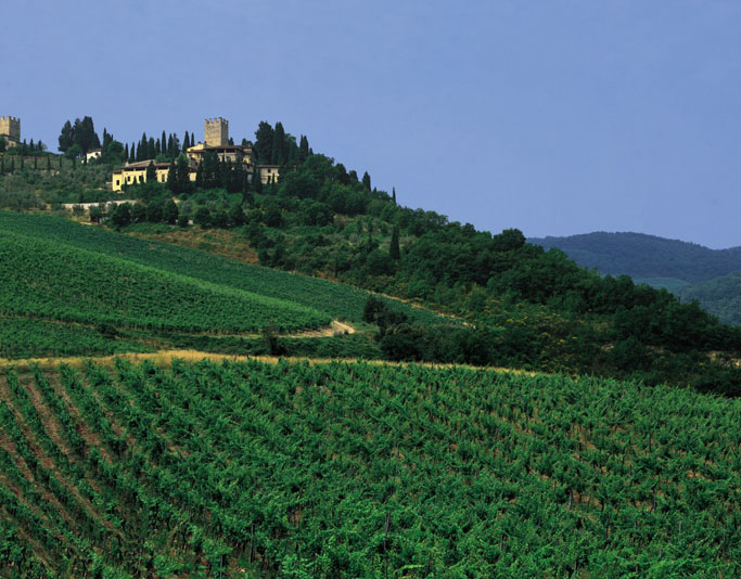 Wine Tours in verrazzano castle with Olive
