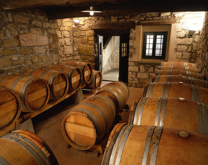 Wine Tours in Verrazzano castle wine cellars